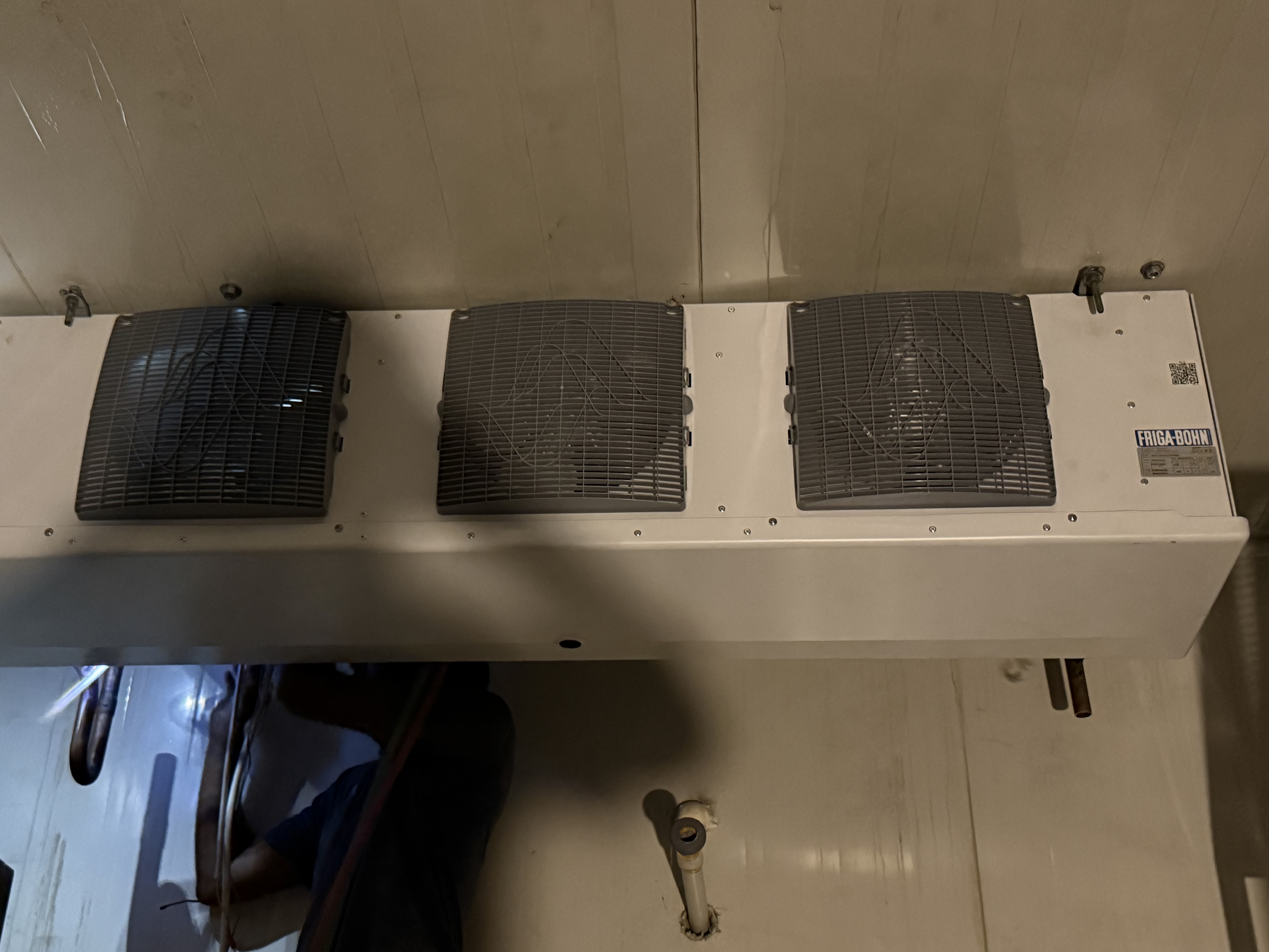 Project Picture